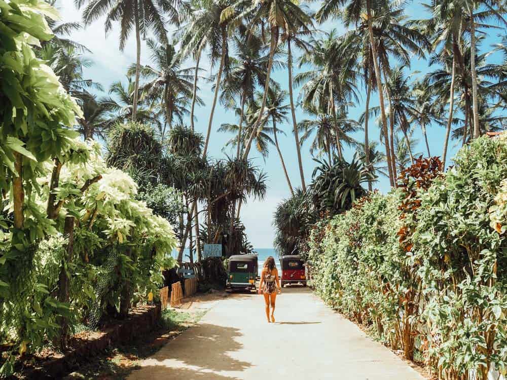 sri lanka trip, visit sri lanka, sri lanka tourists places, sri lanka itinerary, places to visit in sri lanka, sri lanka holidays, best places to visit in sri lanka, tourist attractions in sri lanka, sri lanka tourist places, best beaches in sri lanka, what to do in sri lanka, sri lanka attractions, sri lanka blog, beautiful places in sri lanka, best places in sri lanka, sri lanka points of interest, things to see in sri lanka, things to do in sri lanka, sri lanka beaches, sk town sri lanka, sk town matara, sk town, sk town beach, sk town beach sri lanka, sri lanka surf, surf camp sri lanka, matara sri lanka, surf and yoga sri lanka, 2 weeks in sri lanka itinerary, sri lanka itinerary, 2 weeks in sri lanka, sri lanka itinerary 3 weeks, two weeks in sri lanka, sri lanka two week itinerary, sri lanka travel itinerary, sri lanka travel guide, best itinerary for sri lanka, sk town matara, sri lanka surf, matara, sk town matara sri lanka