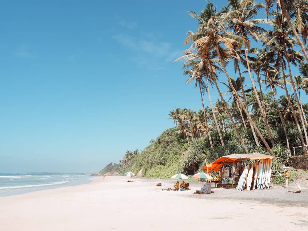 sri lanka trip, visit sri lanka, sri lanka tourists places, sri lanka itinerary, places to visit in sri lanka, sri lanka holidays, best places to visit in sri lanka, tourist attractions in sri lanka, sri lanka tourist places, best beaches in sri lanka, what to do in sri lanka, sri lanka attractions, sri lanka blog, beautiful places in sri lanka, best places in sri lanka, sri lanka points of interest, things to see in sri lanka, things to do in sri lanka, sri lanka beaches, sk town sri lanka, sk town matara, sk town, sk town beach, sk town beach sri lanka, sri lanka surf, surf camp sri lanka, matara sri lanka, surf and yoga sri lanka, 2 weeks in sri lanka itinerary, sri lanka itinerary, 2 weeks in sri lanka, sri lanka itinerary 3 weeks, two weeks in sri lanka, sri lanka two week itinerary, sri lanka travel itinerary, sri lanka travel guide, best itinerary for sri lanka, sk town matara, sri lanka surf, matara, sk town matara sri lanka