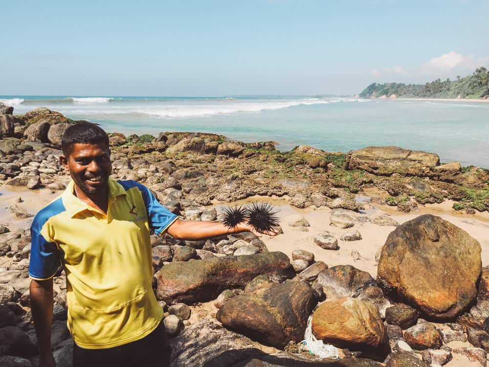 sri lanka trip, visit sri lanka, sri lanka tourists places, sri lanka itinerary, places to visit in sri lanka, sri lanka holidays, best places to visit in sri lanka, tourist attractions in sri lanka, sri lanka tourist places, best beaches in sri lanka, what to do in sri lanka, sri lanka attractions, sri lanka blog, beautiful places in sri lanka, best places in sri lanka, sri lanka points of interest, things to see in sri lanka, things to do in sri lanka, sri lanka beaches, sk town sri lanka, sk town matara, sk town, sk town beach, sk town beach sri lanka, sri lanka surf, surf camp sri lanka, matara sri lanka, surf and yoga sri lanka, 2 weeks in sri lanka itinerary, sri lanka itinerary, 2 weeks in sri lanka, sri lanka itinerary 3 weeks, two weeks in sri lanka, sri lanka two week itinerary, sri lanka travel itinerary, sri lanka travel guide, best itinerary for sri lanka, sk town matara, sri lanka surf, matara, sk town matara sri lanka