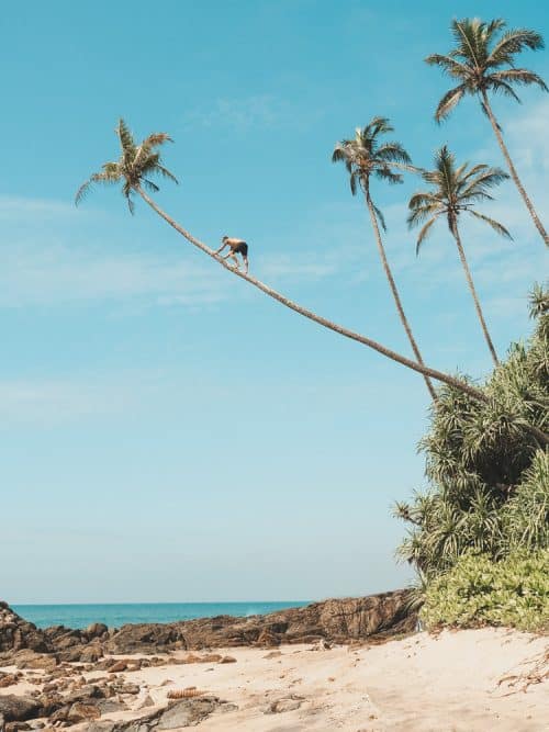 SK Town Beach In Matara, Sri Lanka - Visitor's Guide 7 sri lanka trip, visit sri lanka, sri lanka tourists places, sri lanka itinerary, places to visit in sri lanka, sri lanka holidays, best places to visit in sri lanka, tourist attractions in sri lanka, sri lanka tourist places, best beaches in sri lanka, what to do in sri lanka, sri lanka attractions, sri lanka blog, beautiful places in sri lanka, best places in sri lanka, sri lanka points of interest, things to see in sri lanka, things to do in sri lanka, sri lanka beaches, sk town sri lanka, sk town matara, sk town, sk town beach, sk town beach sri lanka, sri lanka surf, surf camp sri lanka, matara sri lanka, surf and yoga sri lanka, 2 weeks in sri lanka itinerary, sri lanka itinerary, 2 weeks in sri lanka, sri lanka itinerary 3 weeks, two weeks in sri lanka, sri lanka two week itinerary, sri lanka travel itinerary, sri lanka travel guide, best itinerary for sri lanka