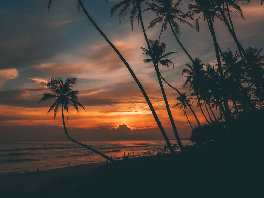 sri lanka trip, visit sri lanka, sri lanka tourists places, sri lanka itinerary, places to visit in sri lanka, sri lanka holidays, best places to visit in sri lanka, tourist attractions in sri lanka, sri lanka tourist places, best beaches in sri lanka, what to do in sri lanka, sri lanka attractions, sri lanka blog, beautiful places in sri lanka, best places in sri lanka, sri lanka points of interest, things to see in sri lanka, things to do in sri lanka, sri lanka beaches, sk town sri lanka, sk town matara, sk town, sk town beach, sk town beach sri lanka, sri lanka surf, surf camp sri lanka, matara sri lanka, surf and yoga sri lanka, 2 weeks in sri lanka itinerary, sri lanka itinerary, 2 weeks in sri lanka, sri lanka itinerary 3 weeks, two weeks in sri lanka, sri lanka two week itinerary, sri lanka travel itinerary, sri lanka travel guide, best itinerary for sri lanka, sk town matara, sri lanka surf, matara, sk town matara sri lanka