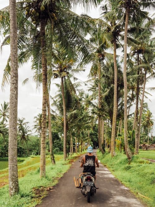 7 BEST Bali Waterfalls - The Ultimate Guide 8 PC220103 e1525173910489