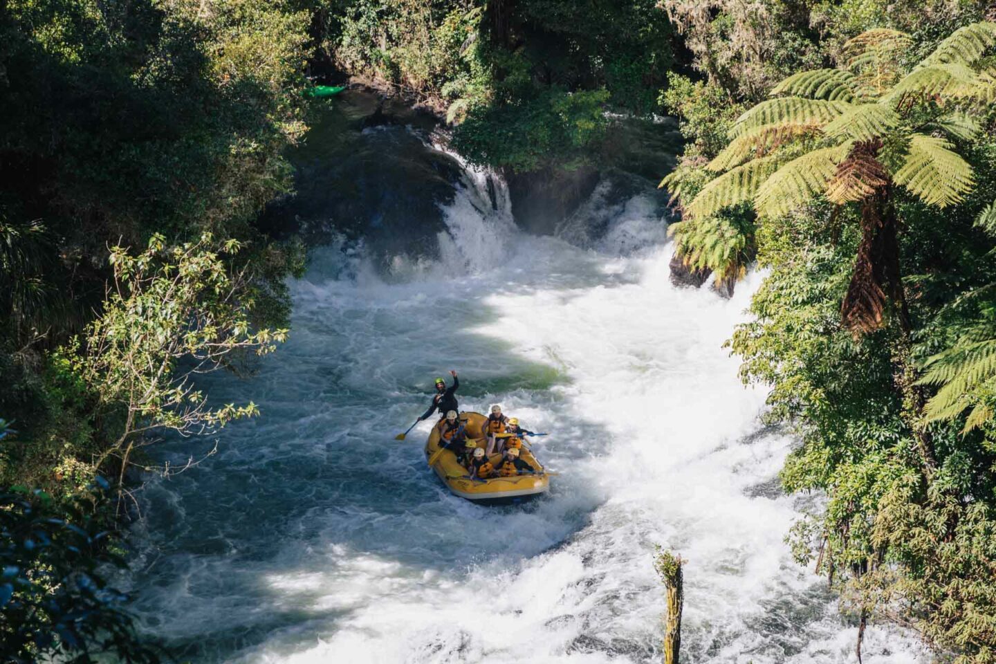rotorua 3