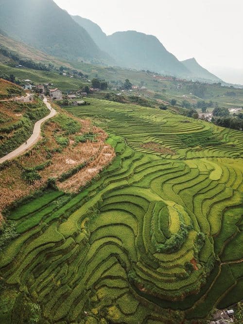 Vietnam Itinerary - 4 Week Route Guide For 2025 28 sapa rice fields 13 e1535869311876
