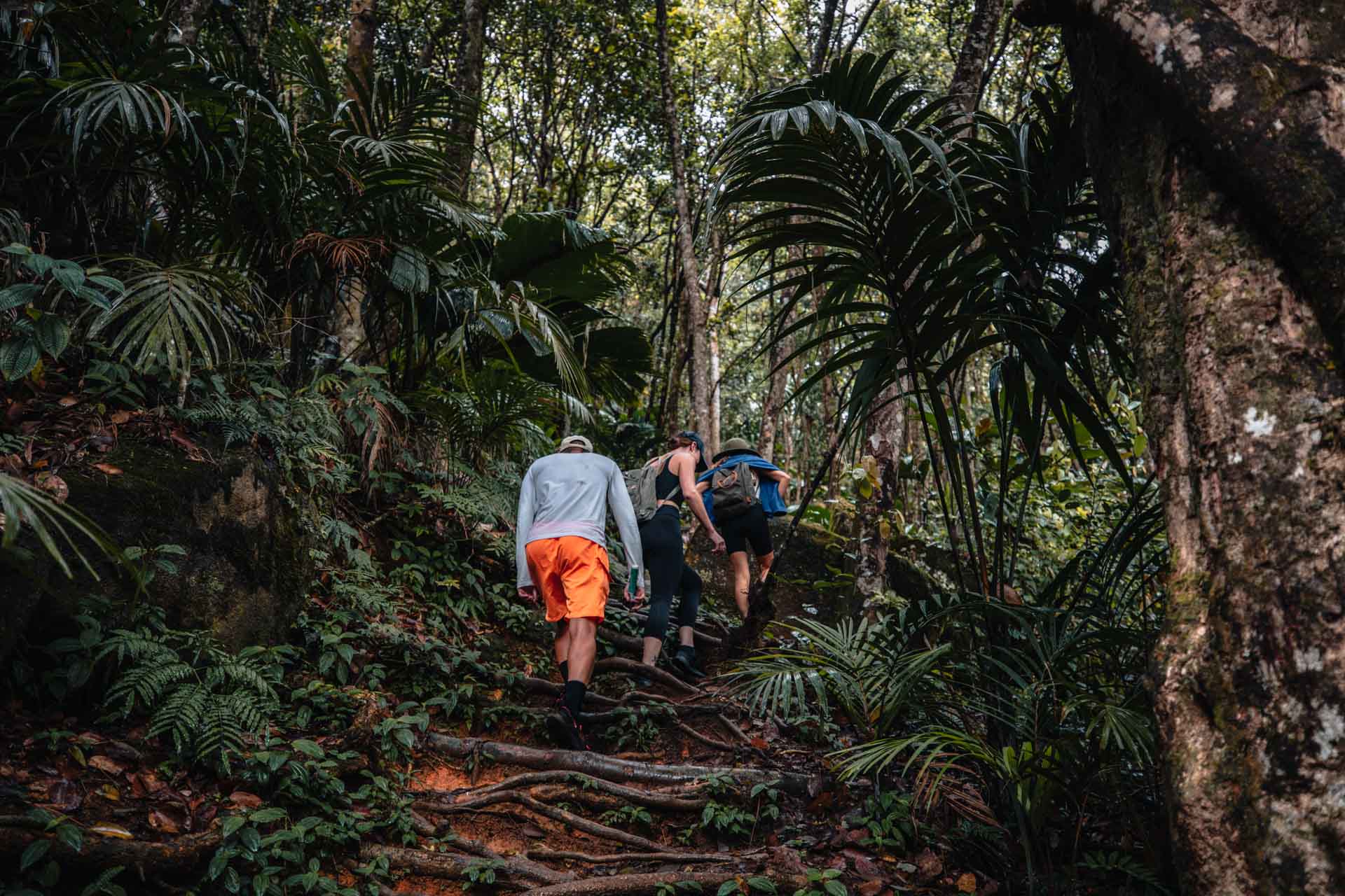 things to do in mahe, things to do in mahe island, things to do on mahe seychelles, mahe island, mahe island seychelles, places to visit in mahe, what to do in mahe