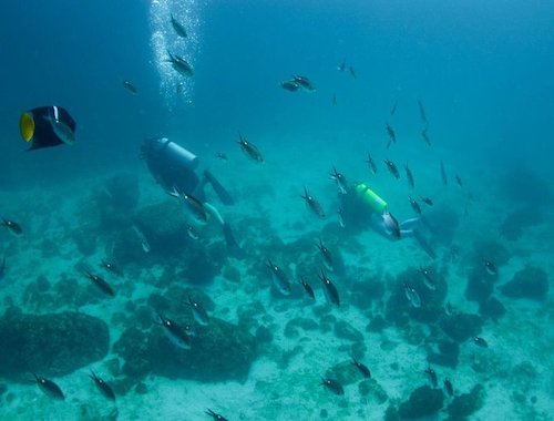 Snorkel in Marietas Island 2