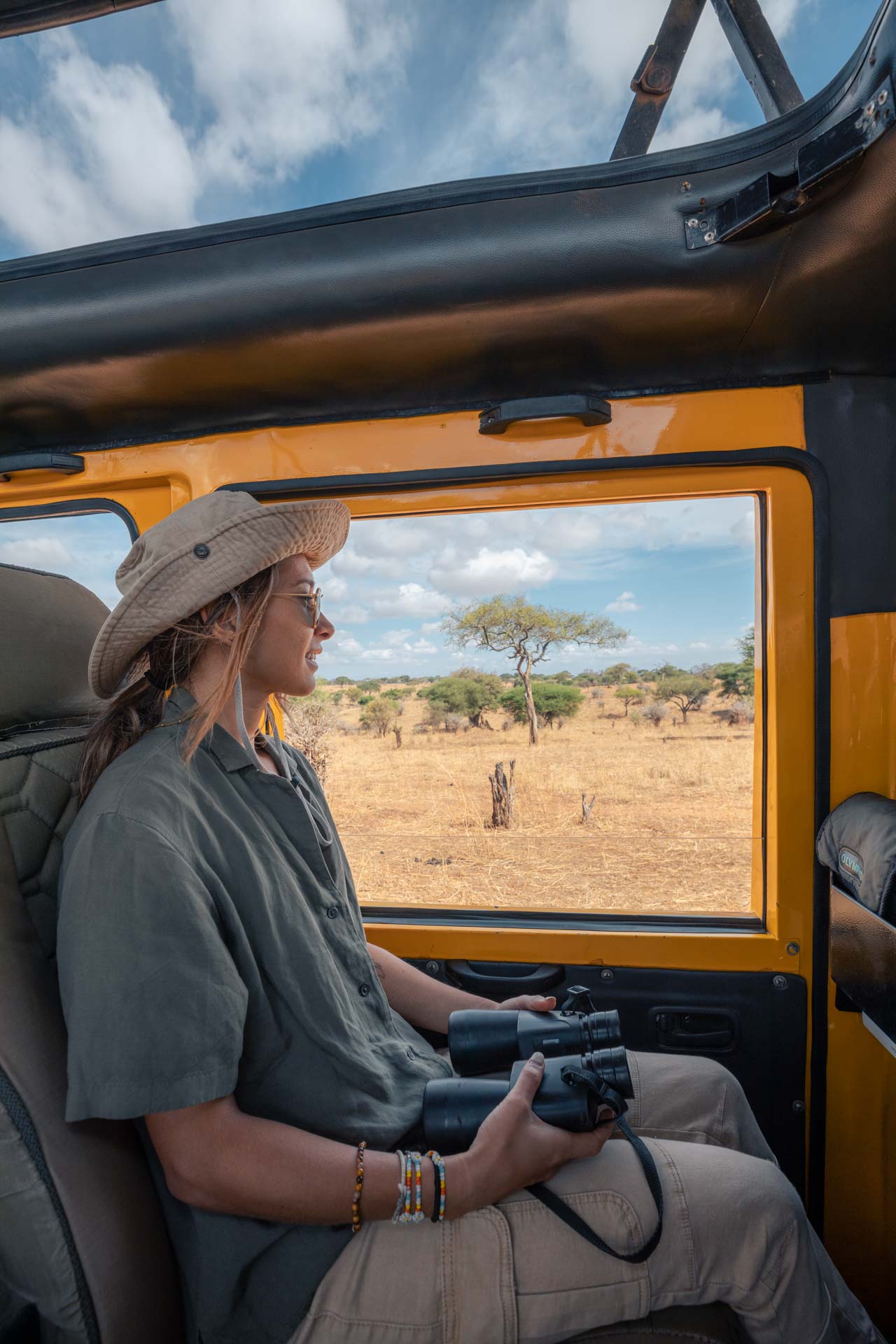 tarangire safari, safari tarangire, safari in tarangire, tarangire national park, tarangire tanzania