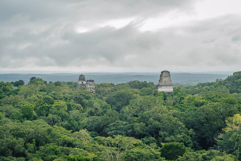 tikal, tikal national park, tikal temple, tikal tours, flores to tikal, flores tikal, visiting tikal, tikal guatemala, mayan city of tikal, guatemala city to tikal, tikal map, where is tikal, tikal entrance fee, guatemala tikal, ruins tikal, ruins of tikal, tikal tour, tikal ruins guatemala, belize city to tikal, san ignacio to tikal, tikal sunrise tour, tikal tours from flores