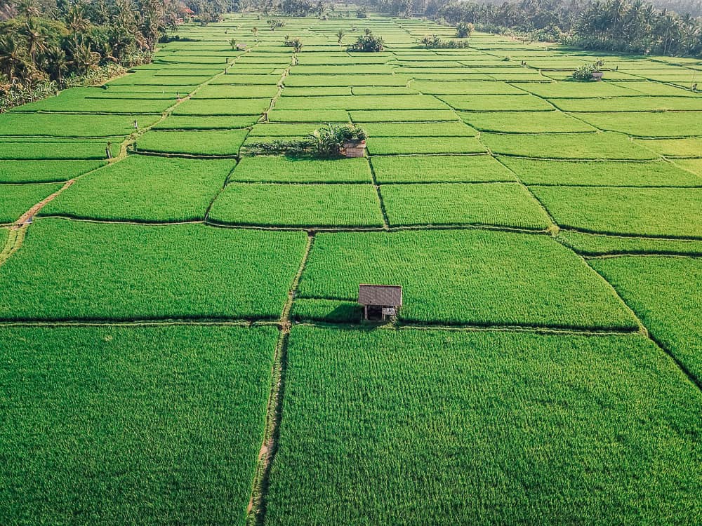ubud new edits lo res 8