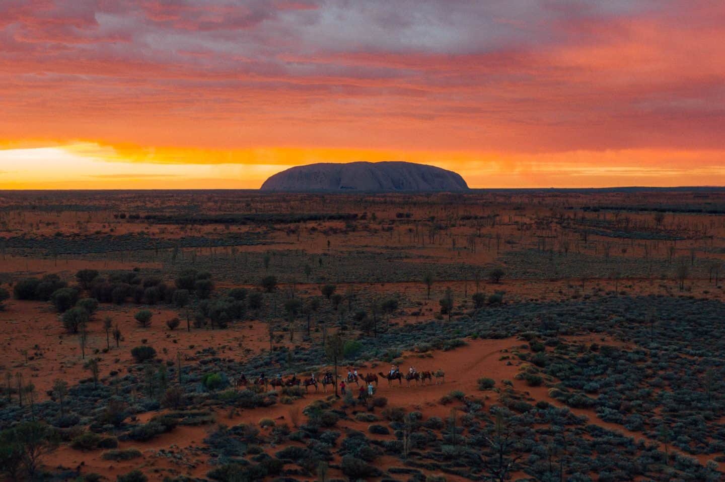 uluru, things to do in uluru, camel tour uluru