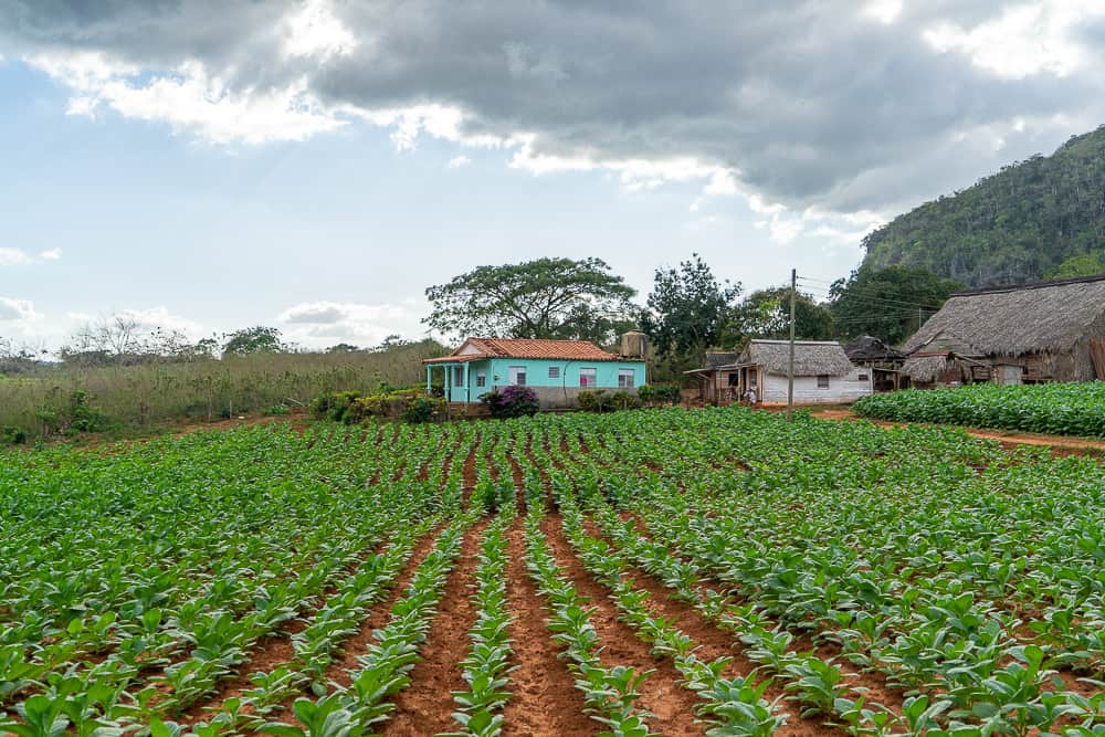 cuba itinerary, cuba itinerary 10 days, cuba travel itinerary, 10 days in cuba, cuba 10 days, cuba in 10 dayS, itinerary for cuba, cuba 10 days itinerary, 10 day cuba itinerary, 10 day itinerary cuba, 10 days cuba itinerary, itinerary cuba 10 days, 10 days in cuba itinerary, vinales cuba, vinales, vinales valley