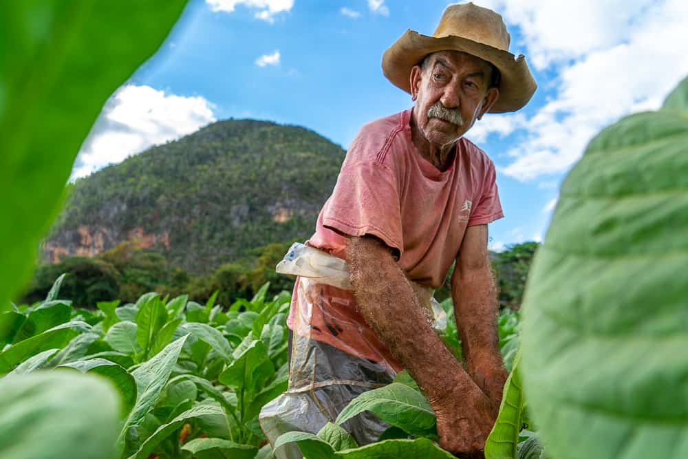 cuba itinerary, cuba itinerary 10 days, cuba travel itinerary, 10 days in cuba, cuba 10 days, cuba in 10 dayS, itinerary for cuba, cuba 10 days itinerary, 10 day cuba itinerary, 10 day itinerary cuba, 10 days cuba itinerary, itinerary cuba 10 days, 10 days in cuba itinerary, vinales cuba, vinales, vinales valley