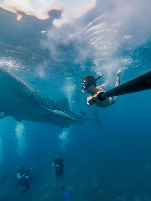 Heymondo Travel Insurance Review: All You Need To Know 11 whale sharks cebu, whale shark cebu, swimming with whale sharks cebu , cebu whale shark tour, whale shark watching cebu, oslob cebu, oslob whale watching, oslob whale shark, where to stay in oslob, oslob whale shark watching, oslob whale shark tour, oslob cebu whale shark, cebu swim with whale sharks, swim with whale sharks cebu, swimming with whale sharks in cebu, whale shark in cebu, whale sharks oslob, oslob whale sharks, cebu whale shark, whale sharks in philippines