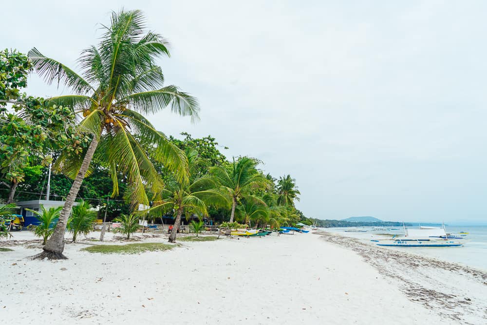 white beach panglao, white beach bohol