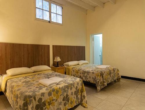 Wild Olive Guest House